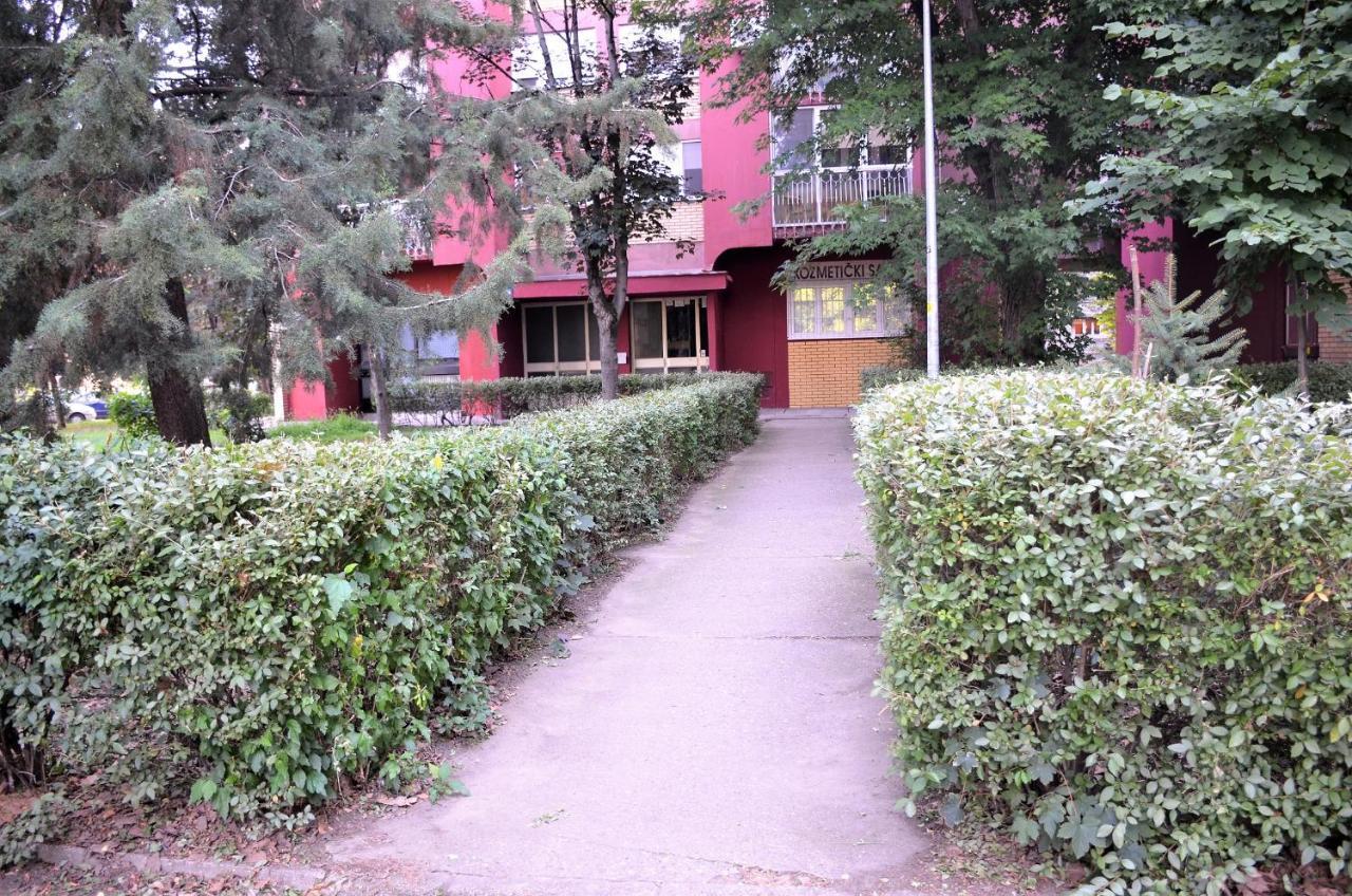 Appartamento Balzak 64M2, Free Parking & Wi-Fi Novi Sad Esterno foto